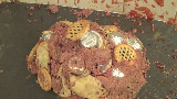 鸡蛋狂魔教你做馅饼